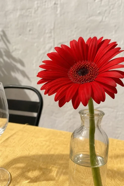 Complementary detail photo of a red flower from the same moment